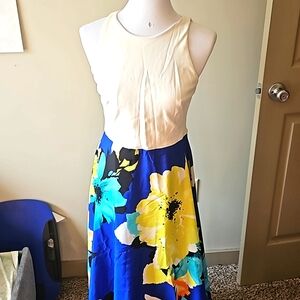 Vince Camuto, size 8, gorgeous high low dress